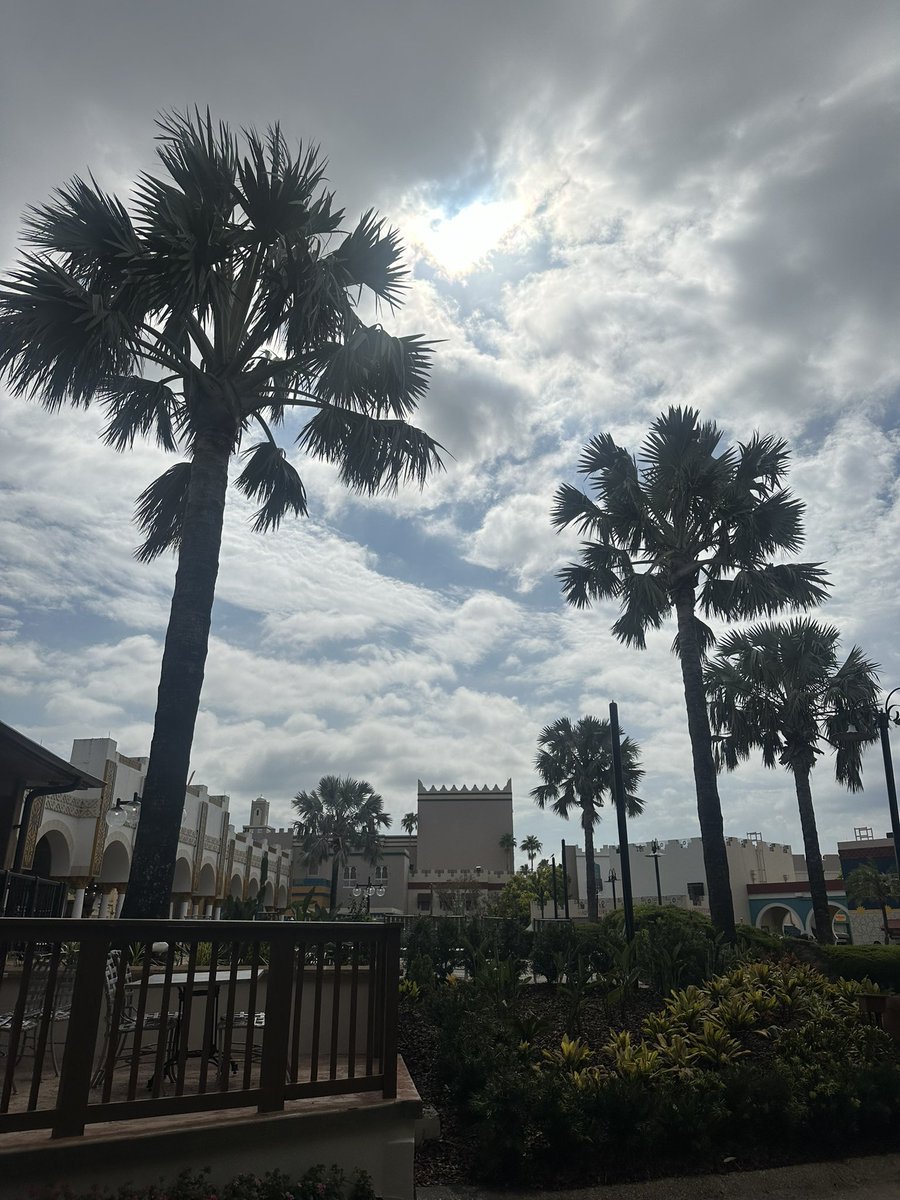 Dr. Ashley F. Curtis tweet media