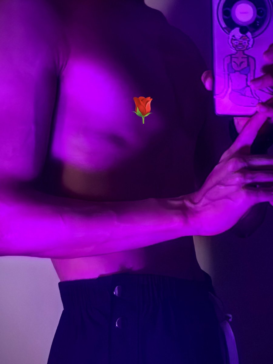 热带猪🌙 tweet media