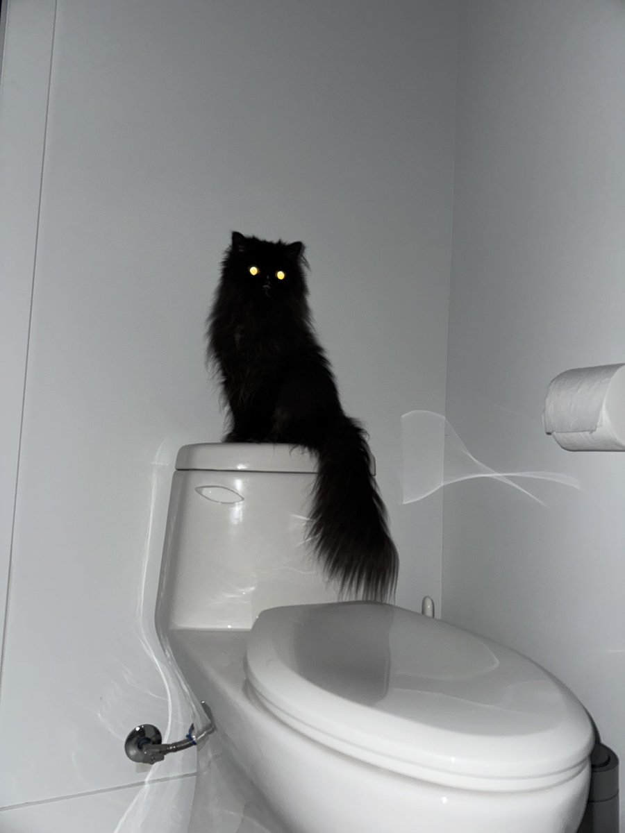 Buuuuu!! Ashi asusté a maman cuamdo fue a hacer pipí a su aguanero anoche jijiji shizo chis en los chones