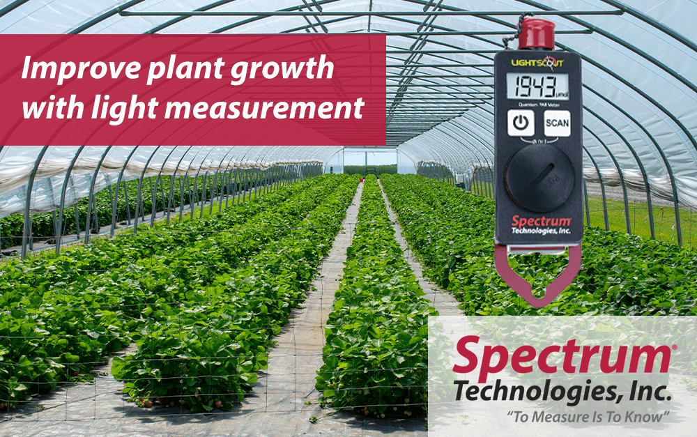 Plant growth is significantly influenced by both the quantity and the quality of light. Our LightScout® Quantum (PAR)/DLI Meter provides scientifically accurate PAR #light readings under any light source, from full sun to full shade, indoors or outdoors.
specmeters.com/LightScout-Qua…