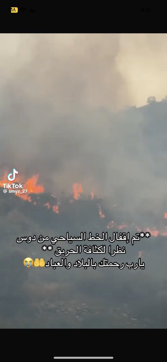 علي المنهـبي tweet media