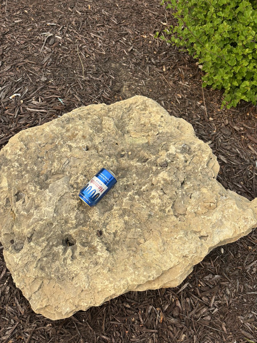 “&amp; for the lady?”
“a hamms on the rocks please”