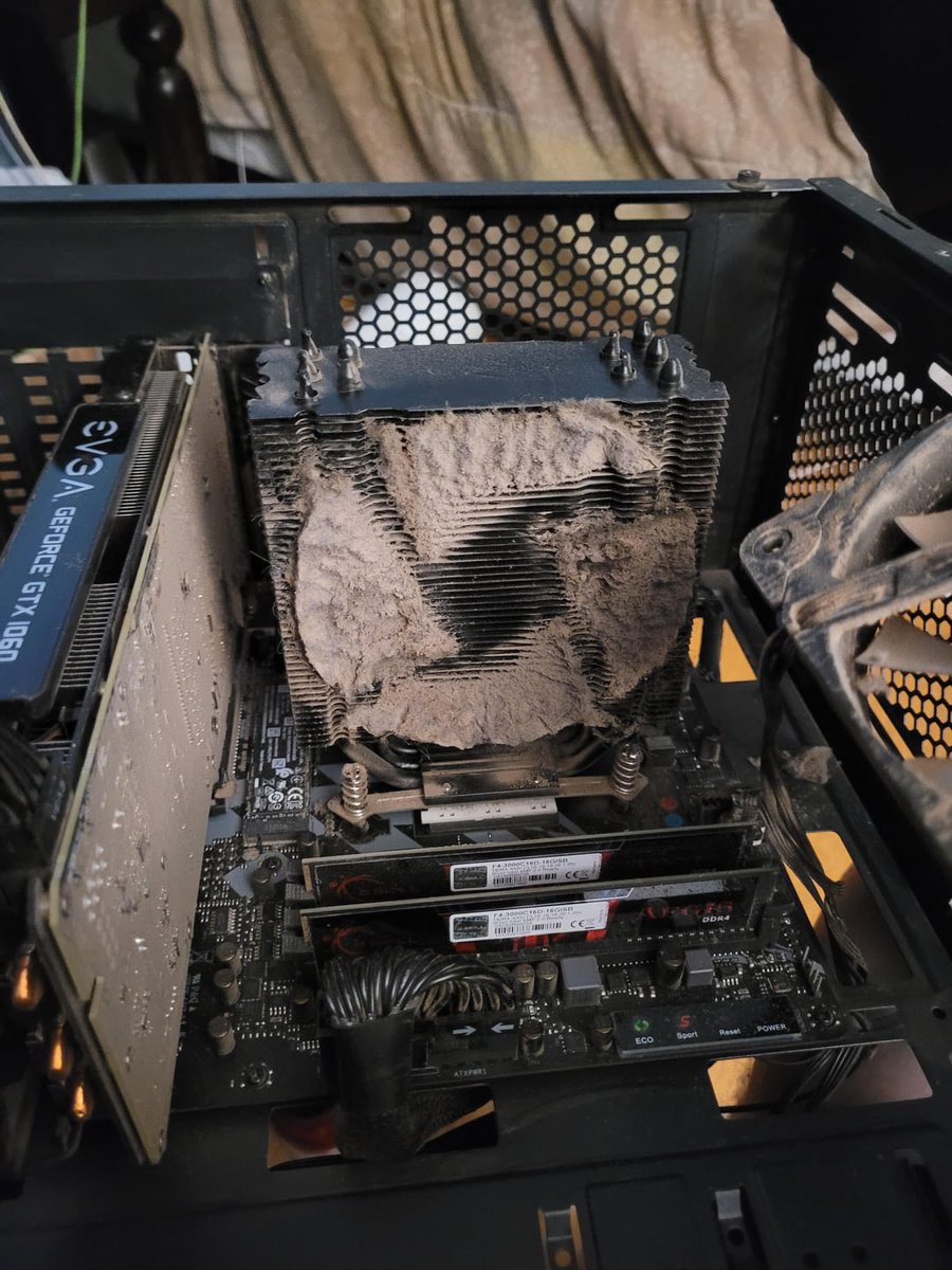 Rate my setup:

The Mesothelioma 420:
