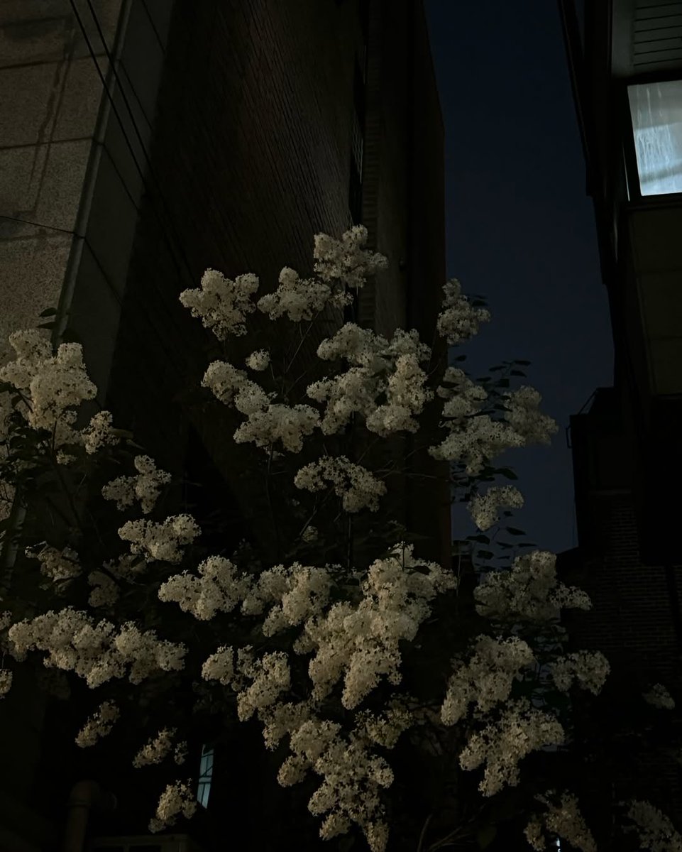 Arin ֶָ֢ tweet media