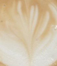 YourFavoriteMike tweet media