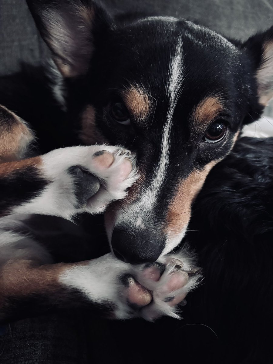 🪻Flower Fag🪻 tweet media