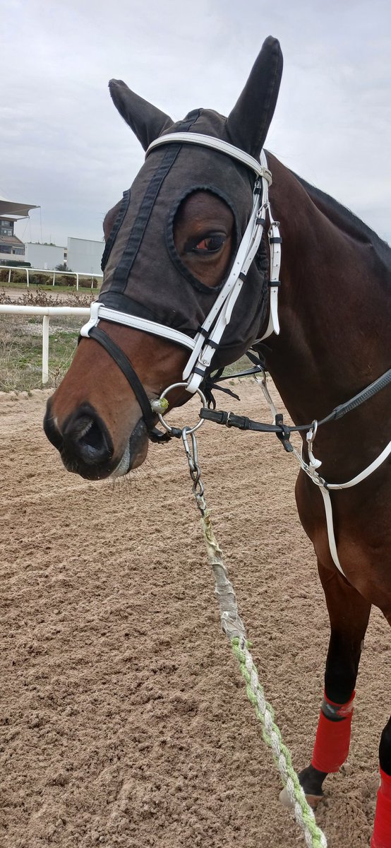 Yüreğine sağlık oğlum 🥉 el alacran