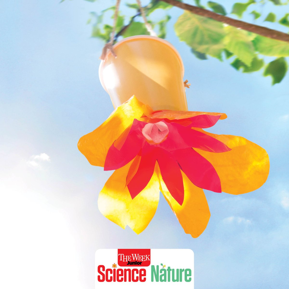 The Week Junior Science+Nature (@twjscinat) on Twitter photo 🦋 Children can learn how to make their own butterfly feeder in the Family Fun Zone at the <a href="/ExRdFestival/">Great Exhibition Road Festival</a> on 7-8 June. By hanging it outside, they can help butterflies in this hot weather.
ℹ️ Find out more at tinyurl.com/SN-GERF
📸 © Alamy #GERF #GreatExhibitionRoadFestival 🦋 Children can learn how to make their own butterfly feeder in the Family Fun Zone at the <a href="/ExRdFestival/">Great Exhibition Road Festival</a> on 7-8 June. By hanging it outside, they can help butterflies in this hot weather.
ℹ️ Find out more at tinyurl.com/SN-GERF
📸 © Alamy #GERF #GreatExhibitionRoadFestival