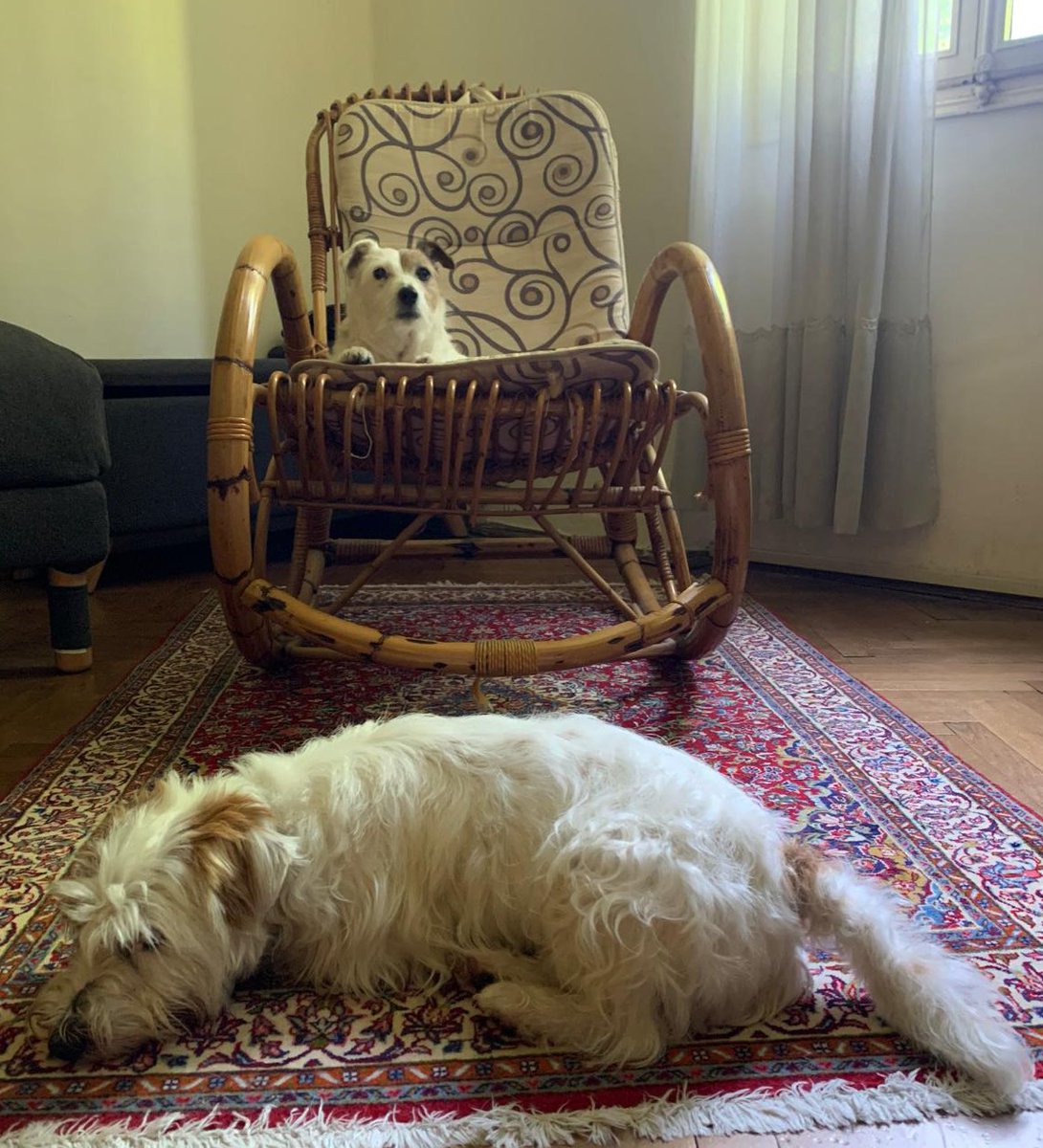 Jack ... 
chi riposa e chi è vigile.