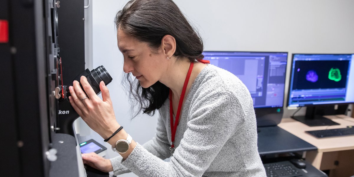 Did you know that the Network Biology Collaborative Centre at Sinai Health houses some of the most advanced instruments for automated microscopy and data analysis? Let us help you advance your research with these platforms. 

Learn more ➡️ bit.ly/4iZq8I9