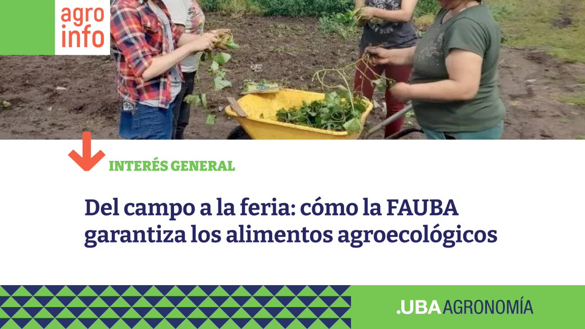 El Sistema Participativo de Garantía (SPG) de la Facultad de Agronomía de la UBA es un proyecto que conecta a productores y consumidores para promover prácticas agrícolas sustentables, transparentes y con respaldo técnico-académico.
noticias.agro.uba.ar/interes-genera…