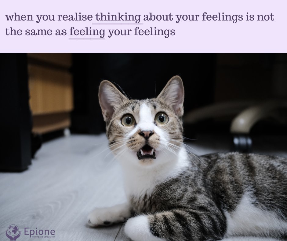 Science suggests that humour can help us heal 😁

What’s something that made you laugh this week?

Memes, mishaps, pet photos, anecdotes - all welcome!