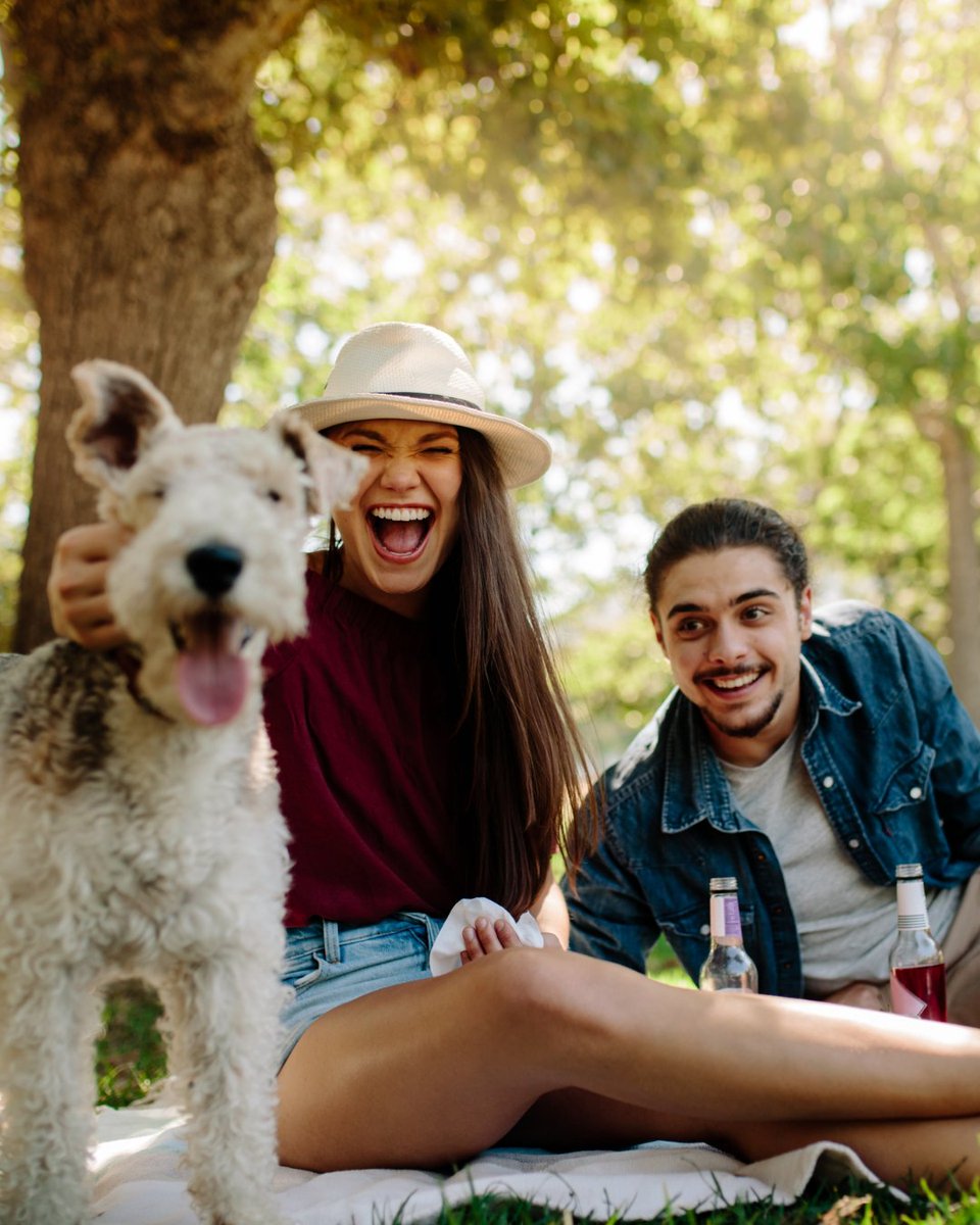Bring your pup along because every adventure is better together. Pet-friendly rooms and plenty of space to relax await! The Five-Day Summer Sale is on now, ends June 1st for stays before Sept. 6th. Book Now, link in Stories.

#PetFriendlyTravel #HiltonAustin