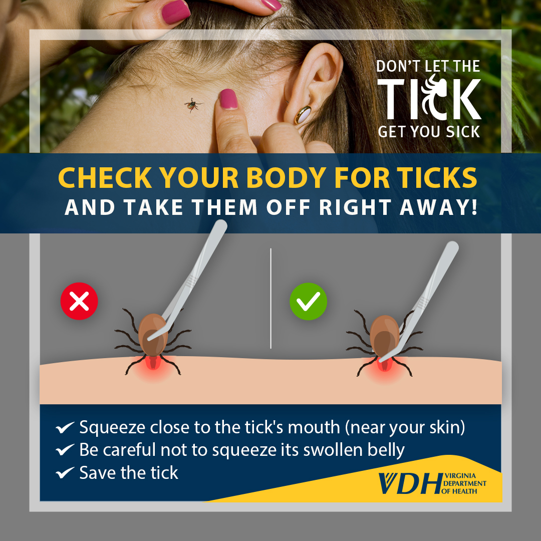 VDHgov's tweet photo. Tick check! If you have been outside, check your whole body for ticks. Take them off carefully and talk to your doctor if you develop a rash or fever. Learn more about the best way to remove a tick at https://t.co/aTQSxWM9qL #TickCheck #TickPrevention #LymeDiseaseAwareness https://t.co/4wXhZfKGau