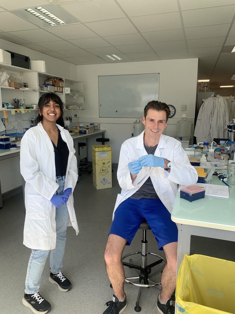 TheRuggieroLab's tweet image. Grad student by name, bench boss by nature 🤭!