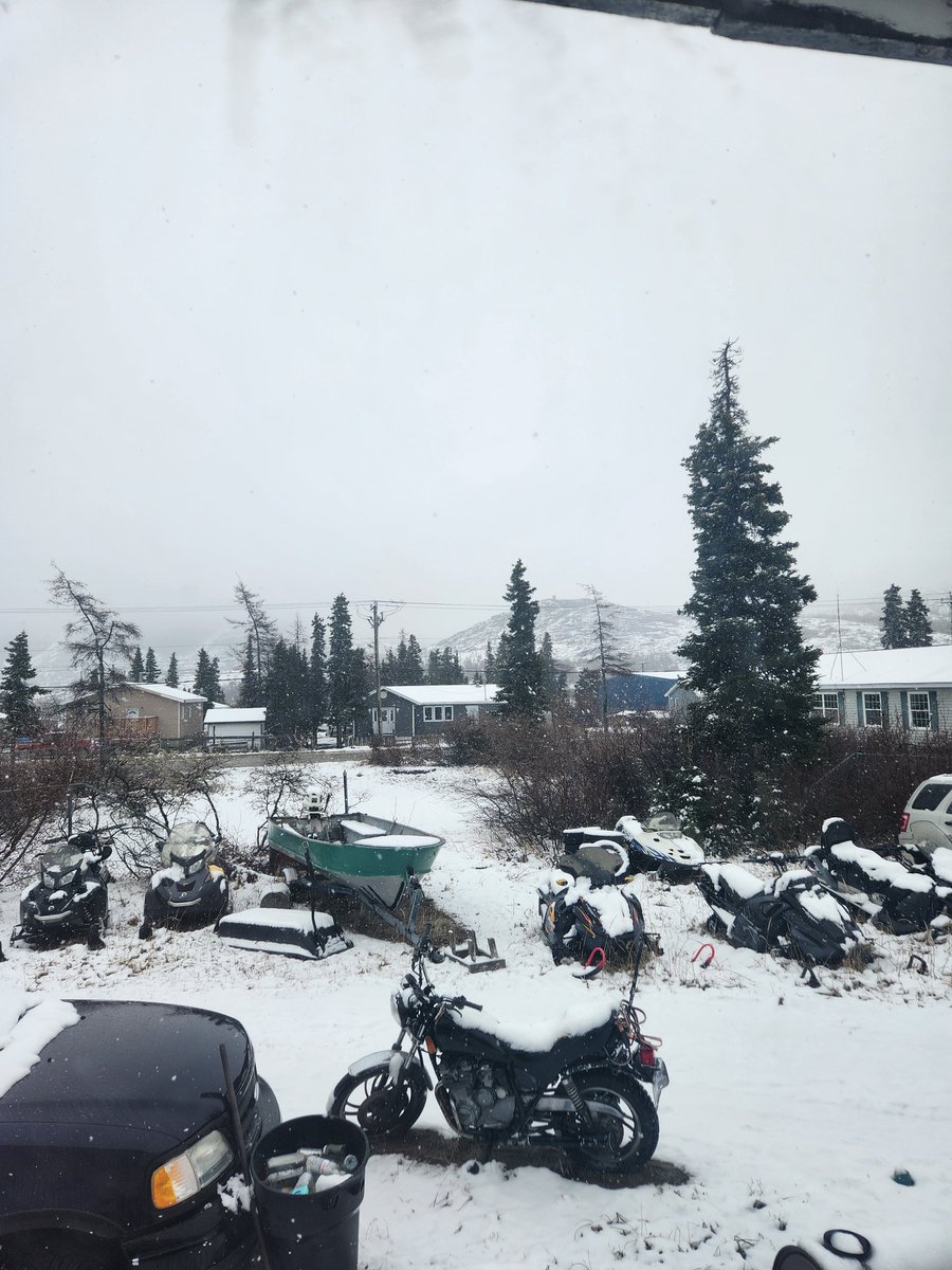SeanLyall's tweet photo. Nain right now. #nlwx https://t.co/64ZrR2I1Wp