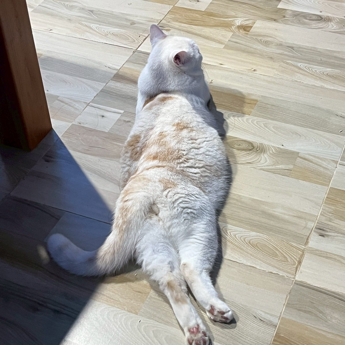 Crazycrow99's tweet image. เด็กชาย ไข่ตี๋คับ @chawkunn