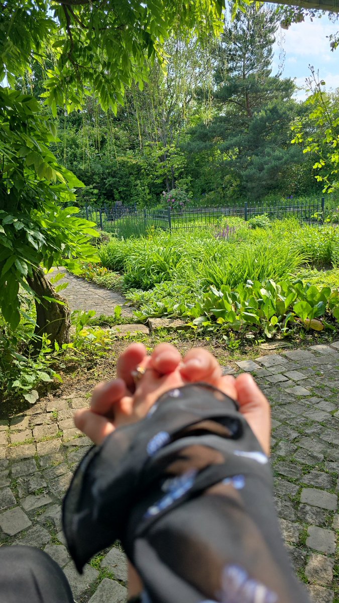 Jae_Seya's tweet photo. League detox oder so https://t.co/fxdqL24b8i