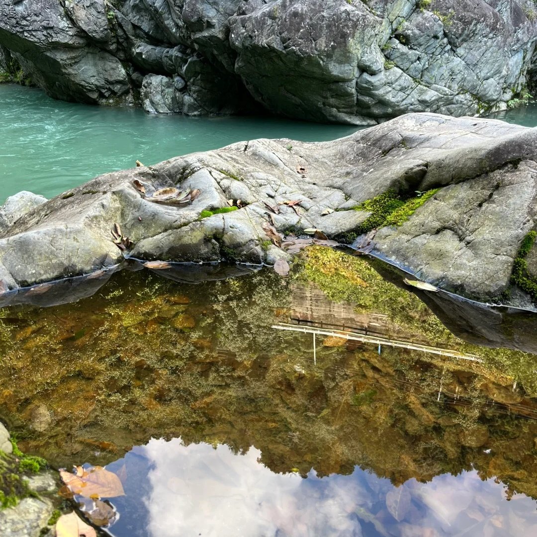 whatThese_on's tweet image. 