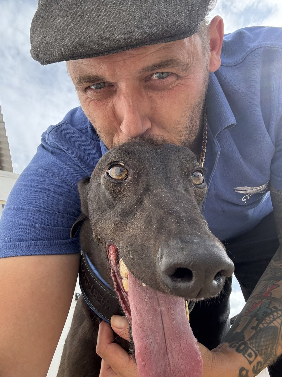 westcountry greyhound kennels tweet media