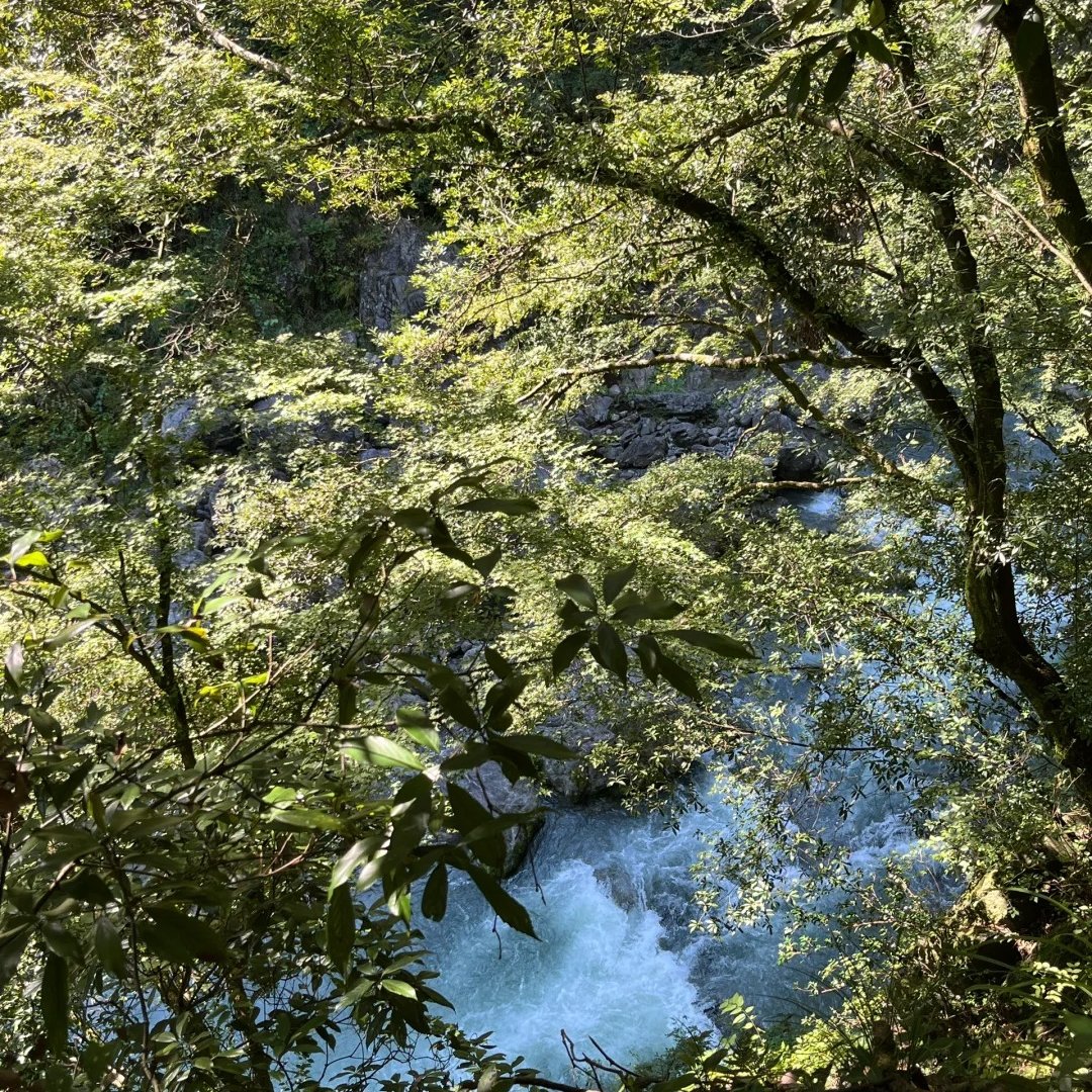 whatThese_on's tweet image. 