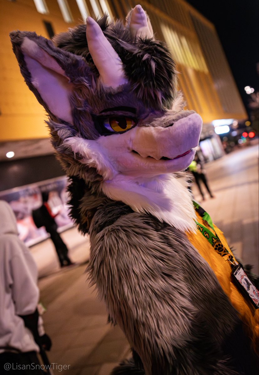 wasted 03:00 AM MaxBurgers moment...

📸: <a href="/LisanSnowTiger/">Lisan 🔜 Awoostria !</a> 
🪡: <a href="/99Daley/">99Daley</a> 

#FursuitFriday #NordicFuzzCon #NFC2025