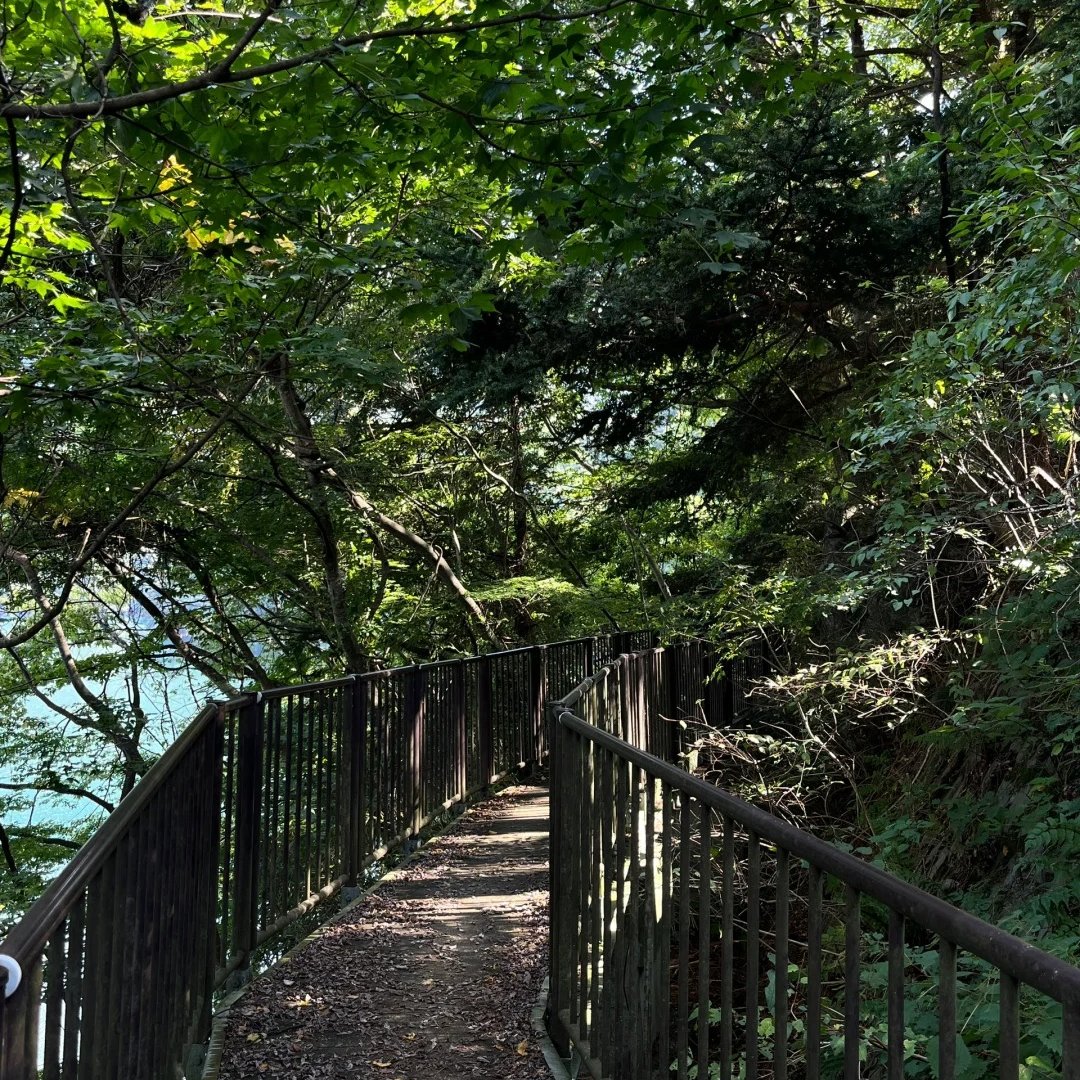 whatThese_on's tweet image. 