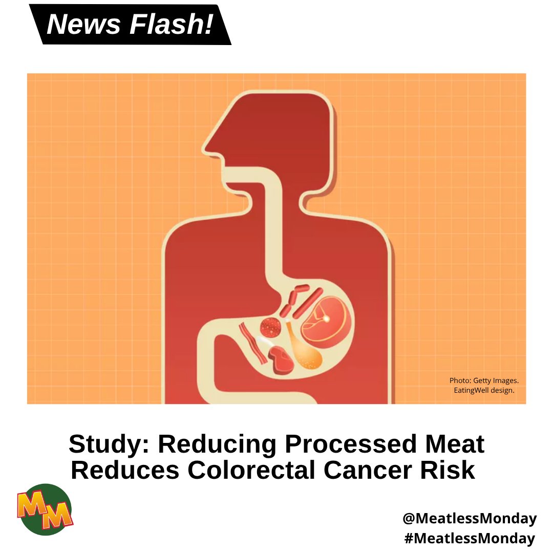 Meatless Monday (@meatlessmonday) on Twitter photo ๐ฅ According to the World Health Organization <a href="/WHO/">World Health Organization (WHO)</a>, just 50g of processed meats a day could increase your risk of colorectal cancer by 18%.๐ก๐ #EatingWell Link for more via <a href="/WHO/">World Health Organization (WHO)</a> <a href="/EatingWell/">EatingWell Magazine</a> #MeatlessMonday
ow.ly/1NEM50W1CoC ๐ฅ According to the World Health Organization <a href="/WHO/">World Health Organization (WHO)</a>, just 50g of processed meats a day could increase your risk of colorectal cancer by 18%.๐ก๐ #EatingWell Link for more via <a href="/WHO/">World Health Organization (WHO)</a> <a href="/EatingWell/">EatingWell Magazine</a> #MeatlessMonday
ow.ly/1NEM50W1CoC
