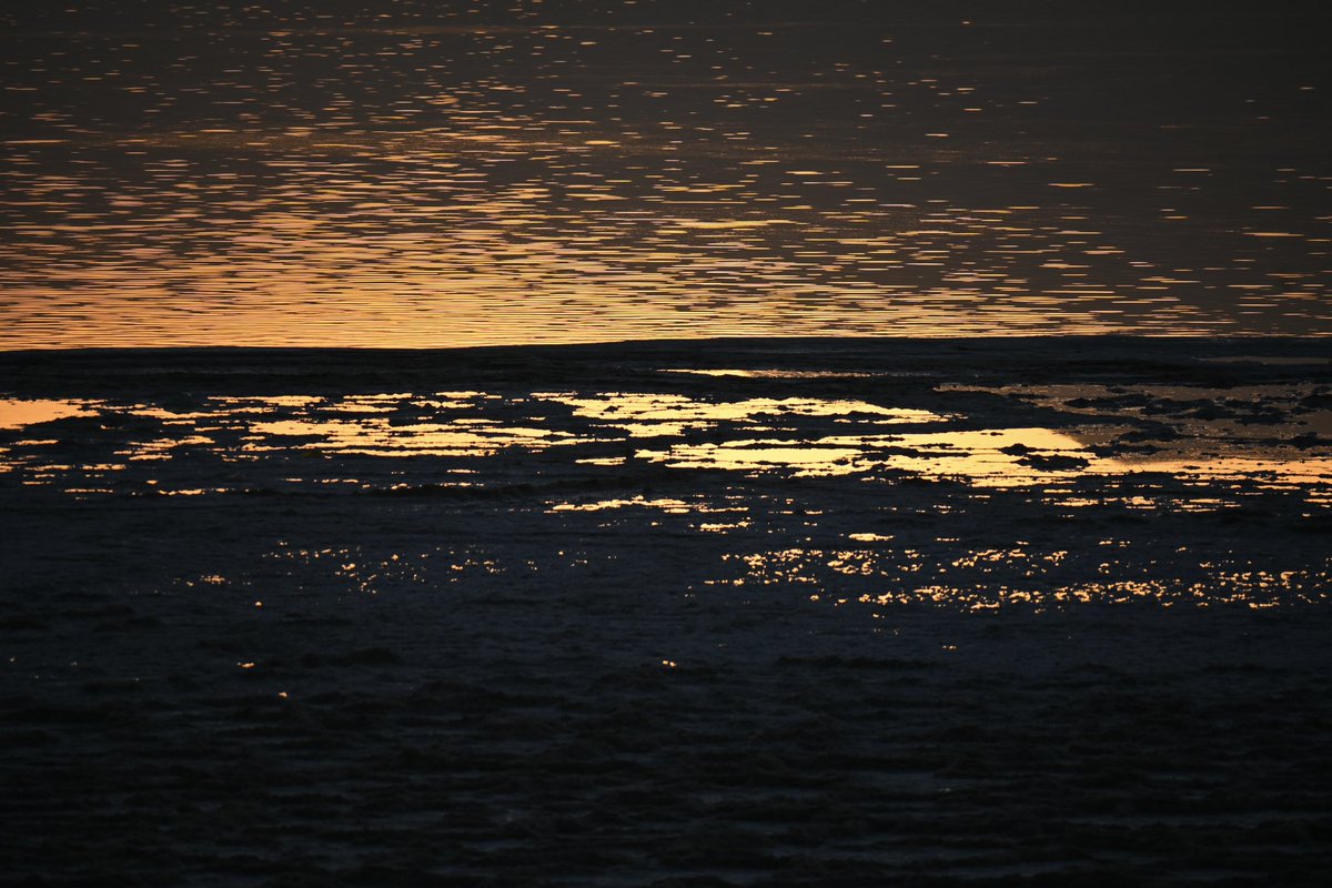 Between worlds
#photography