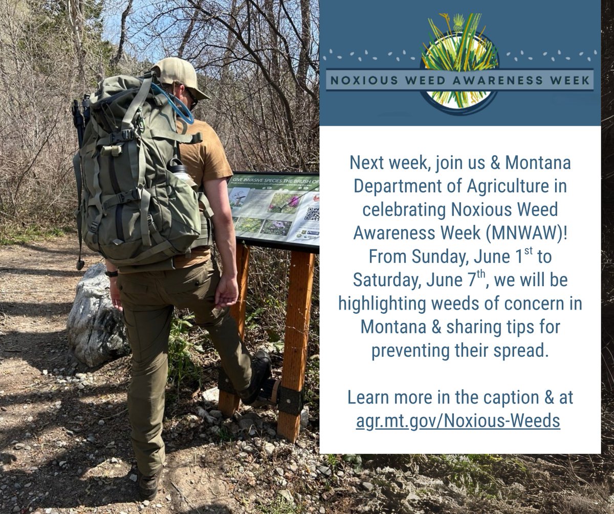 Stop_AIS's tweet image. Next week is MT Noxious Weed Awareness Week! How can you celebrate? We encourage everyone to learn to identify & report infestations. You can also celebrate by:
🌾Organizing a #weedpull
🍃Reposting noxious weed information
🍀Talking about #noxiousweeds w/ friends & family
#NWAW