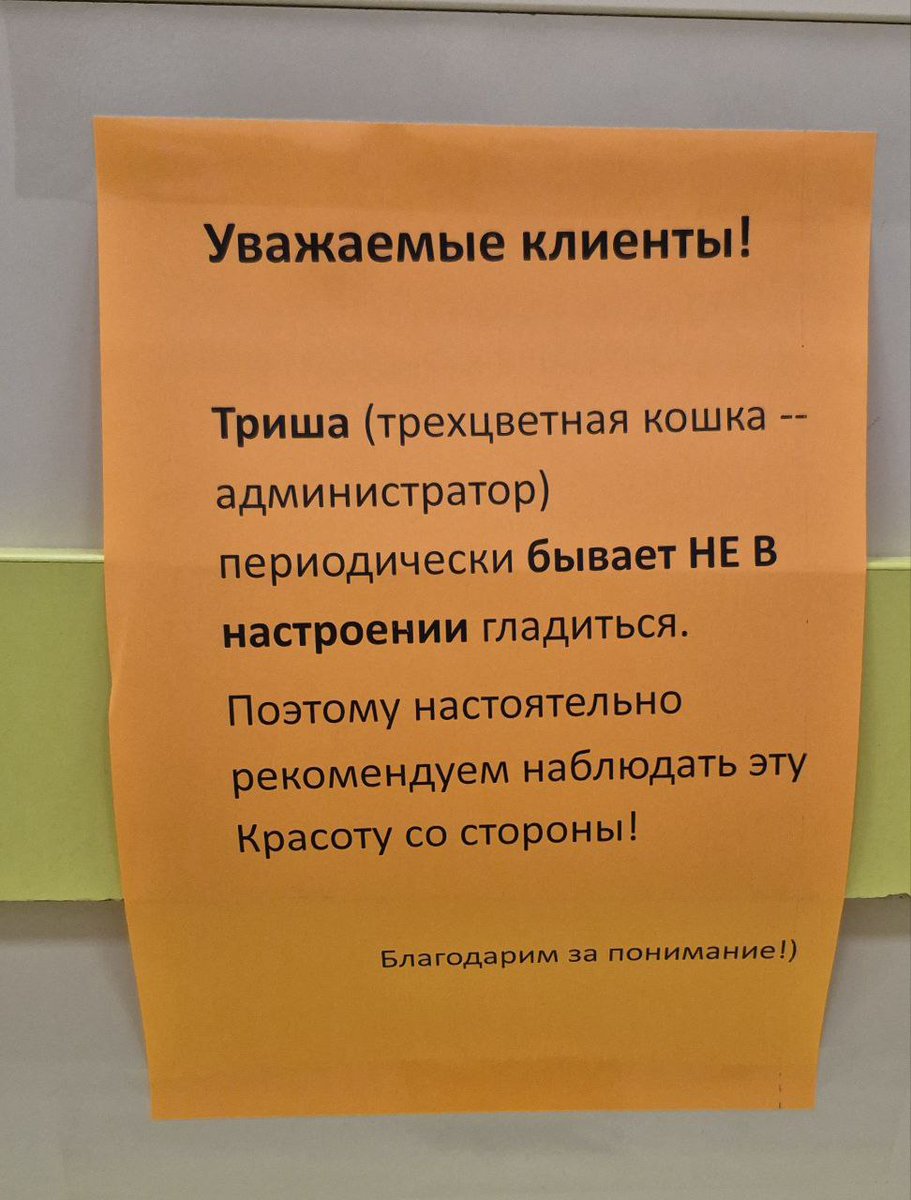Кошка в ветклинике по соседству.  Искусала кого-то... хотя кому может придти в голову гладить кошку с вечно вот таким лицом 😆