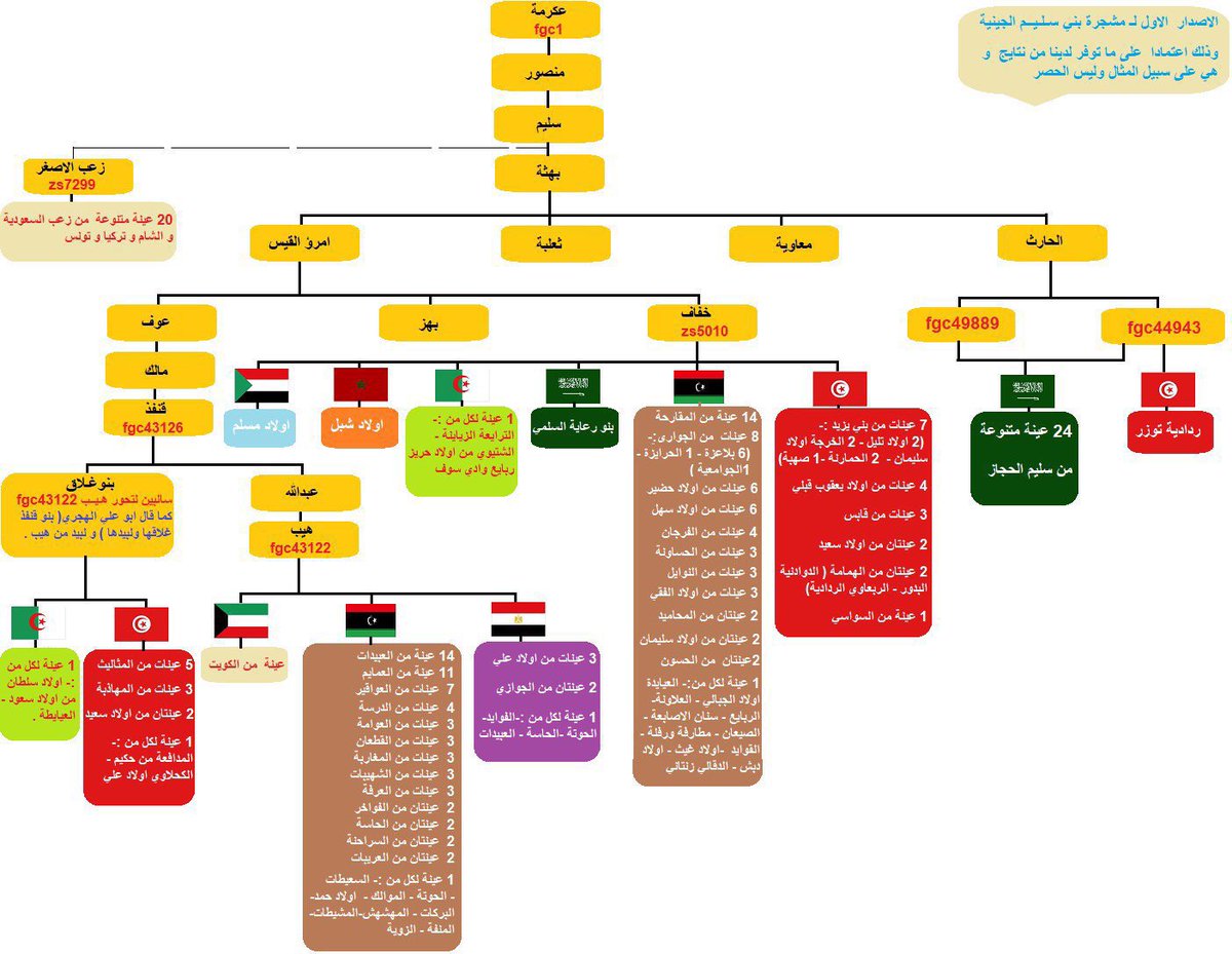 🧬🧬

نتيجة Big Y-700 للأخ/ بدر السلمي (تحليل شخصي). 

 من المطاردة من بني نوال من ربيعة من فتية من سليم - محافظة الكامل - منطقة مكة المكرمة.

عينة رقم IN138610 على التحور FGC44943 بن FGC1 بن FGC5 بن FGC1696 بن FGC1721 بن FGC1707 بن FGC1695 و بإذن الله تُضاف للواي فل YFULL.

🧬🧬