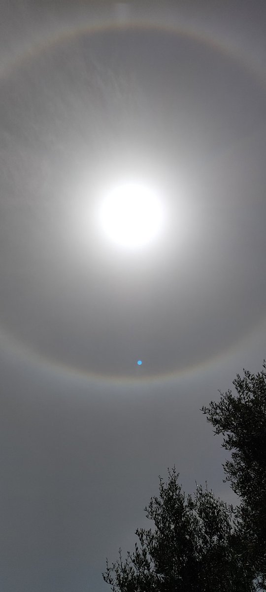 Igual no se aprecia bien pero estas foto las hice está mañana , un "arco iris " rodeando el sol 

La verdad que en directo ha sido curioso y espectacular.