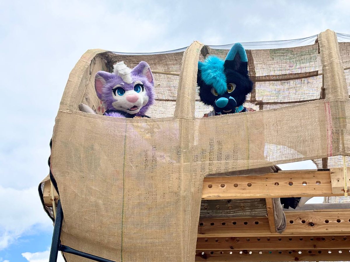 We love our friends who are they to snap pics for us. Some highlights from PDF of the effigy burn and the kitty koral that was super comfy (featuring tarot cat). And just me walking around with too much stuff (should post a pic of the go belt soon) Happy #FursuitFriday everyone.