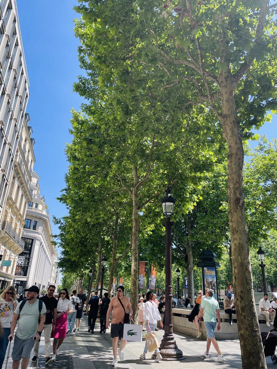 Bonjour シャンゼリゼ通りはすっかり夏の雰囲気☀️ 現在29度