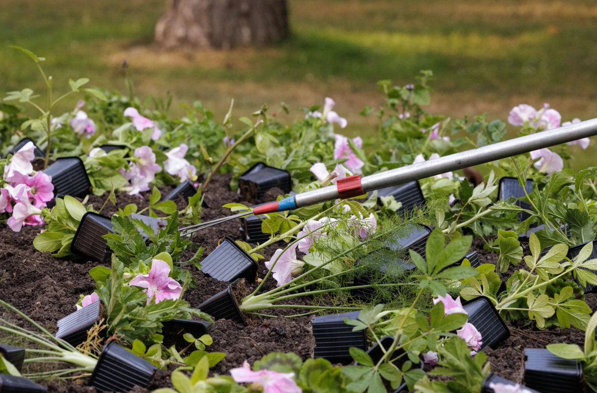 Jardin du Luxembourg tweet media