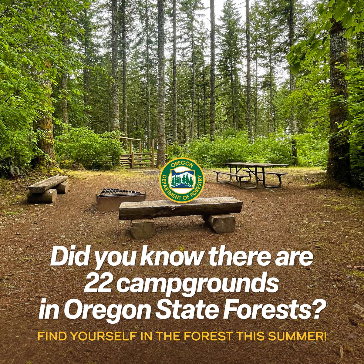 Looking for your next adventure? Relax, recharge, and enjoy the outdoors at your perfect campsite. Oregon State Forests have 22 campgrounds and 323 campsites to choose from. Start planning your summer trip today! oregon.gov/odf/recreation…