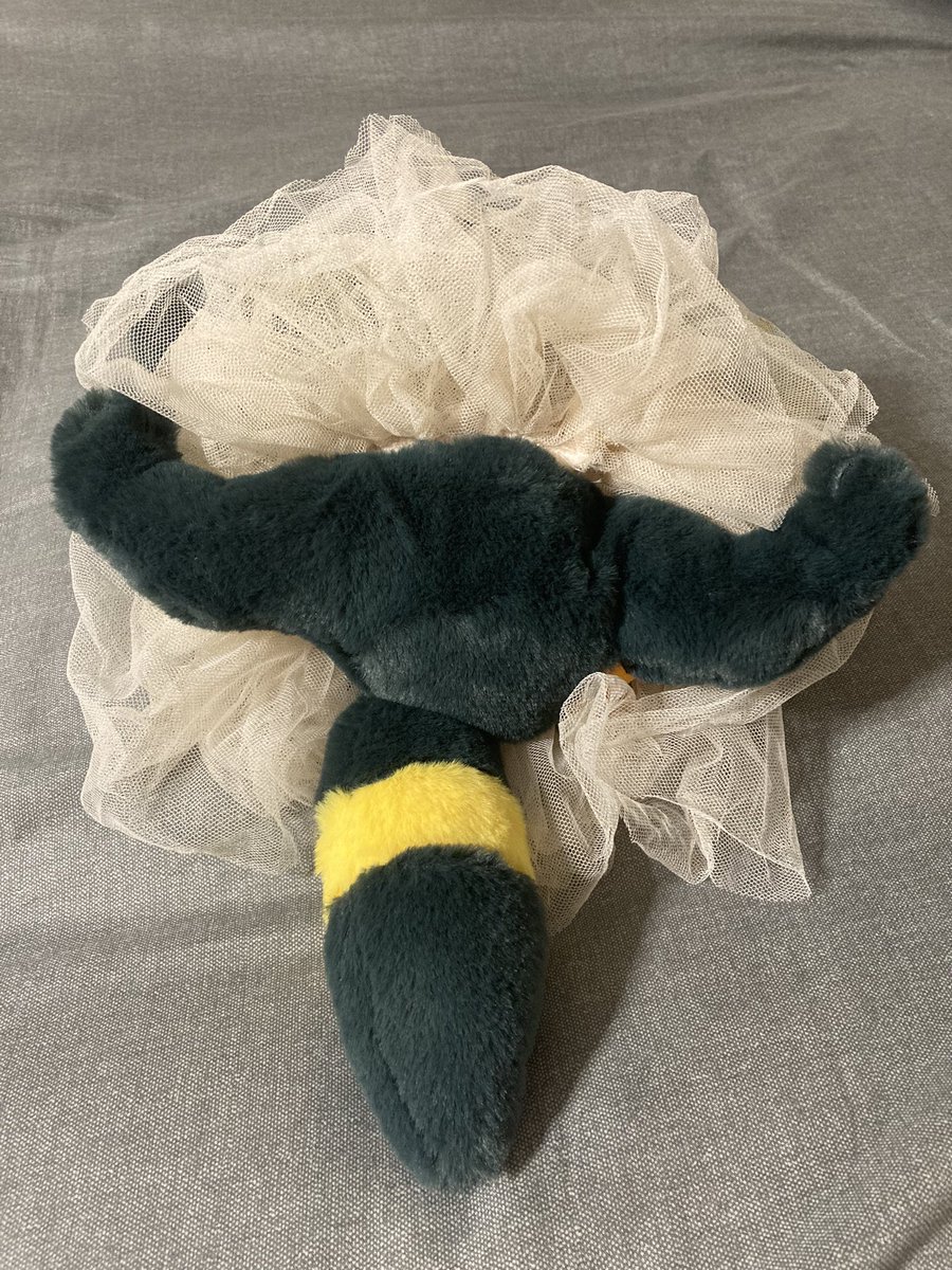 ニケ🐢(36/50) (@kenikenikeke) on Twitter photo 