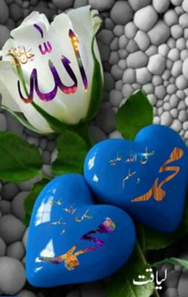 Selam ve dua ile cümleden hayırlı aksamlar ALLAH başta Gazze Filistin olmak üzere tüm zulme uğrayan kardeşlerimize yardım etsin 💛 İslamiyeti yaşamaya ugrasan kişilerin büyük hatalara düşme olasılığı çok düşüktür 💛