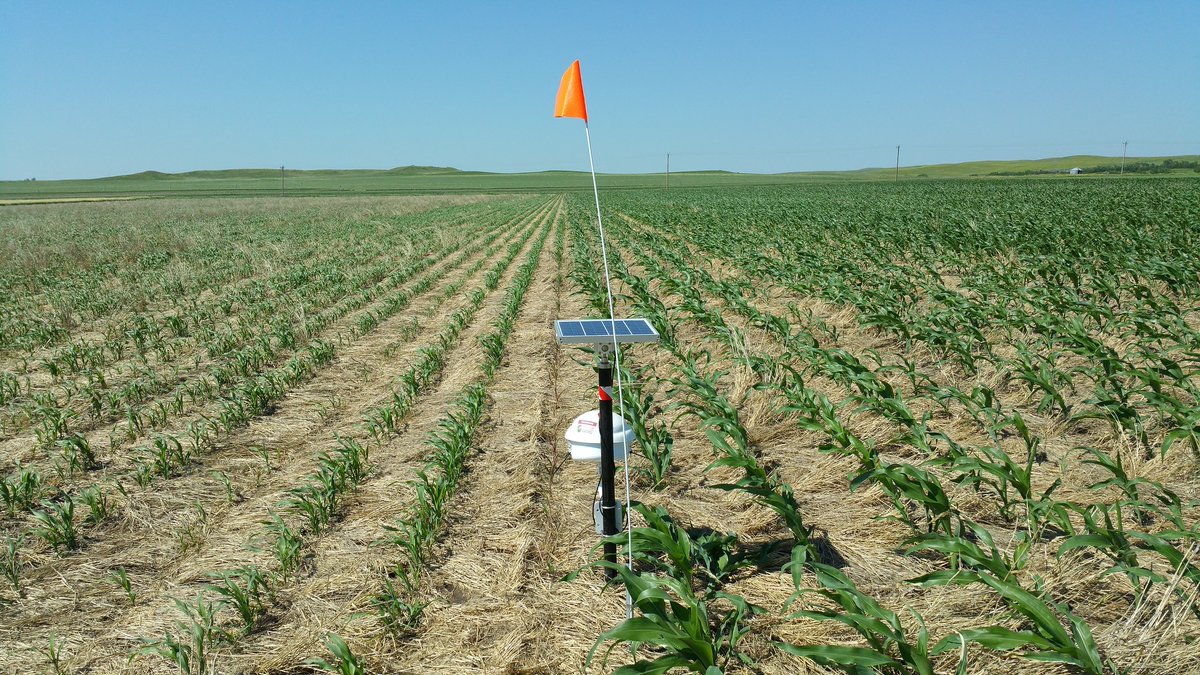 🌱When Does No-Till Work?  

📚 It's all in these two major studies.  

👉Go here: growingresiliencesd.com/post/when-does…