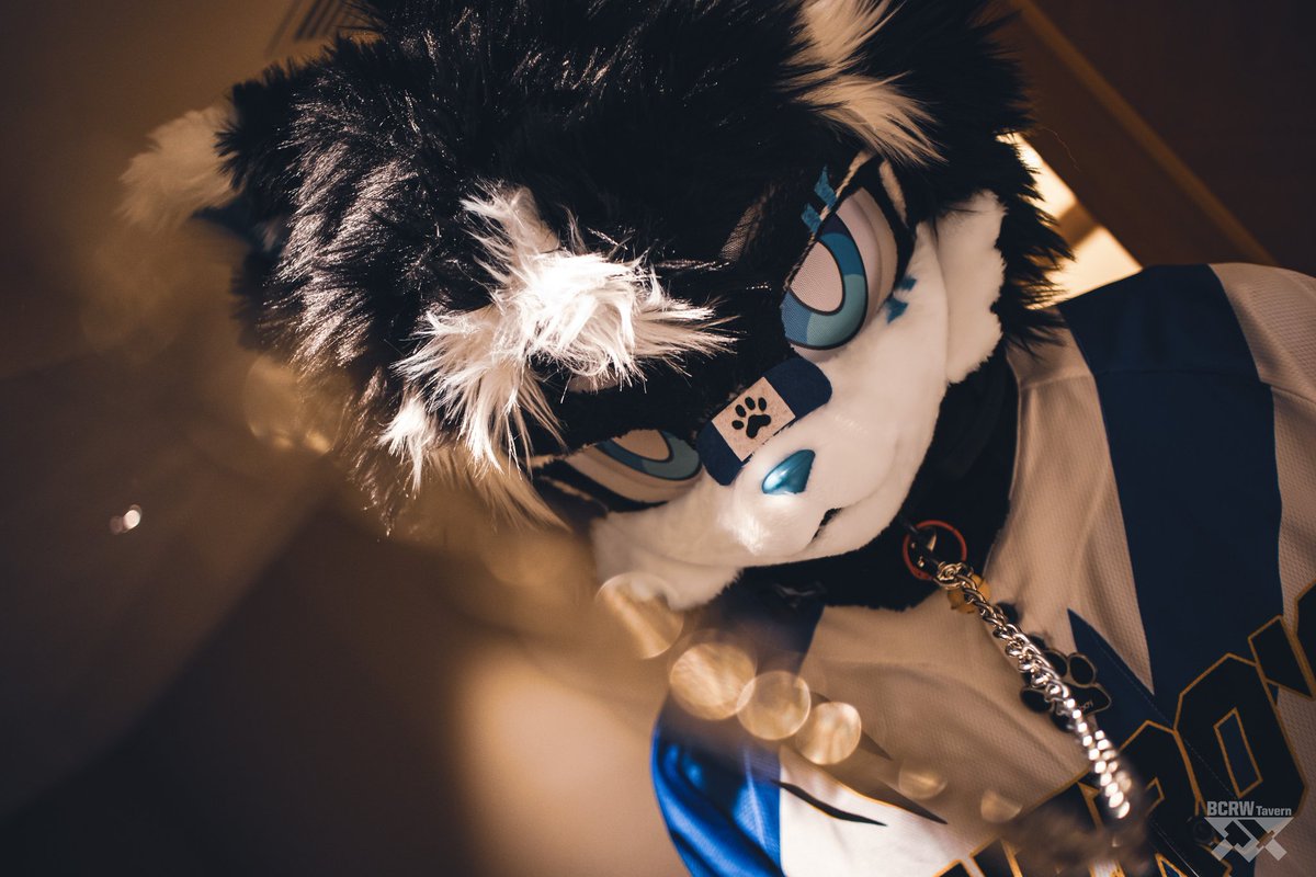 哎呀 就勉为其难被牵一下吧 
📷：<a href="/r77bei/">r77 /ウルシ/</a>