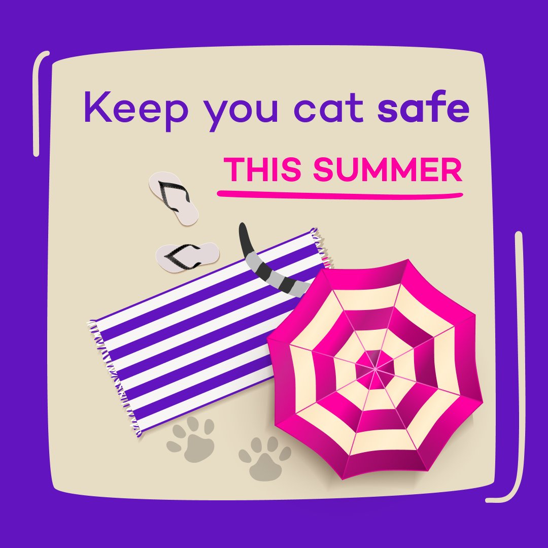 Summer is on the way, but warm weather adventures can mean new risks for our feline friends 🐾
Keep your cats safe this summer by getting up to speed with our top safety tips from our latest article
👉 bit.ly/4mAQG42 
#BeTheExpert #PetInsunrance