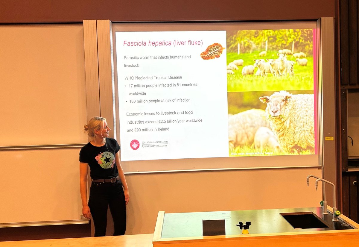 Molecular Parasitology at the University of Galway (@mpl_uniofgalway) on Twitter photo Another year, and the tradition continues!
The Zoology Colloquium brought our department community together for a day of fantastic talks, including from our PhD student <a href="/AisteVit/">Aiste Vitkauskaite 🇺🇦</a>, and wrapped up with a tasty, well-deserved BBQ feast! 🔥
🦊🐍🐢🦟🦌🐳🦞#Zoology
<a href="/SNSUniofGalway/">SNS@UniversityofGalway</a> Another year, and the tradition continues!
The Zoology Colloquium brought our department community together for a day of fantastic talks, including from our PhD student <a href="/AisteVit/">Aiste Vitkauskaite 🇺🇦</a>, and wrapped up with a tasty, well-deserved BBQ feast! 🔥
🦊🐍🐢🦟🦌🐳🦞#Zoology
<a href="/SNSUniofGalway/">SNS@UniversityofGalway</a>
