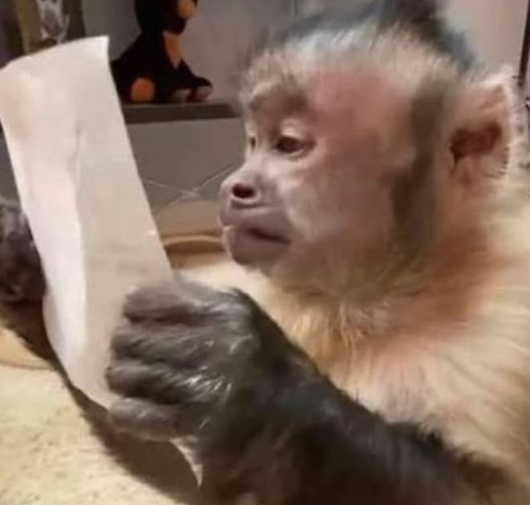 nenebeisbol's tweet image. Paired with Graham Pauley Optioned yesterday

Truly is that simple #Marlins 

#NotRocketScience