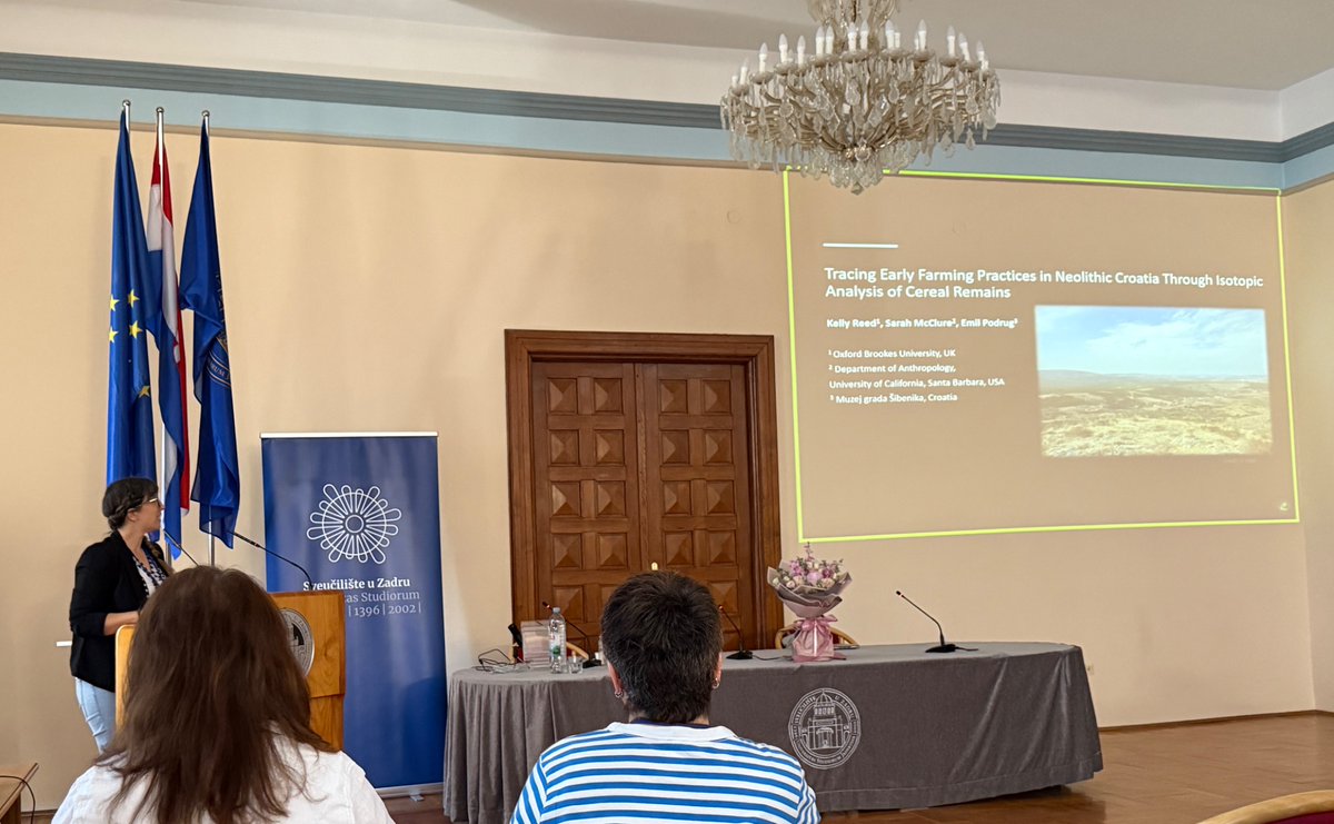 archbotreed's tweet image. Had a great time presenting our project &quot;Tracing Early Farming Practices in Neolithic Croatia Through Isotopic Analysis of Cereal Remains&quot; at #ENE2025 in Zadar! 🌾 So many fascinating talks throughout the conference! #archaeology #Neolithic