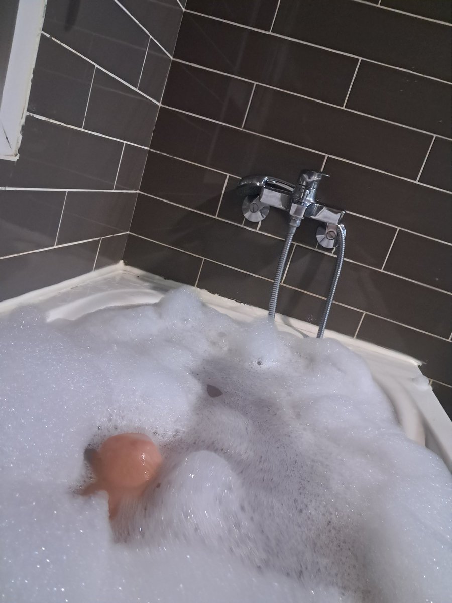 노곤노곤🤣🤣🤣