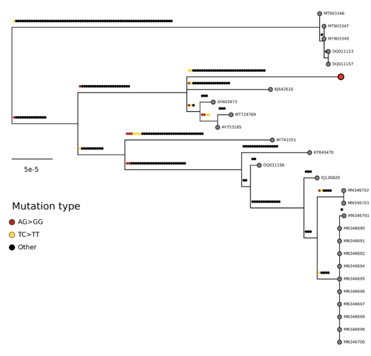 GeraldGmboowa's tweet image. Genomic epidemiology of mpox virus in Sierra Leone reveals sustained human-to-human transmission with limited importation. virological.org/t/genomic-epid…
#Mpox #Genomics #SierraLeone #Surveillance #PublicHealth
