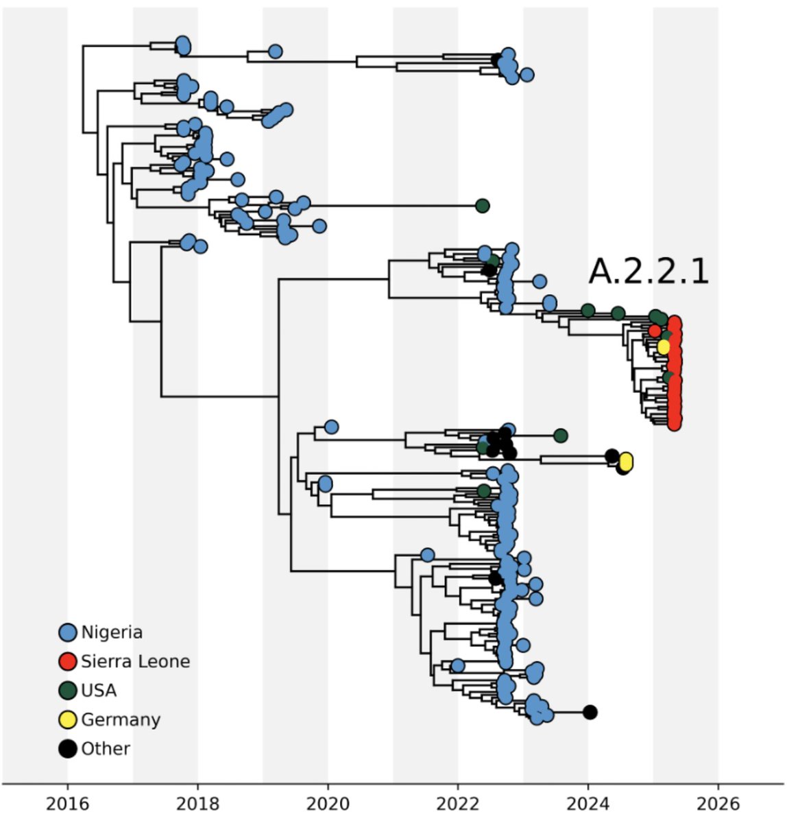 GeraldGmboowa's tweet image. Genomic epidemiology of mpox virus in Sierra Leone reveals sustained human-to-human transmission with limited importation. virological.org/t/genomic-epid…
#Mpox #Genomics #SierraLeone #Surveillance #PublicHealth