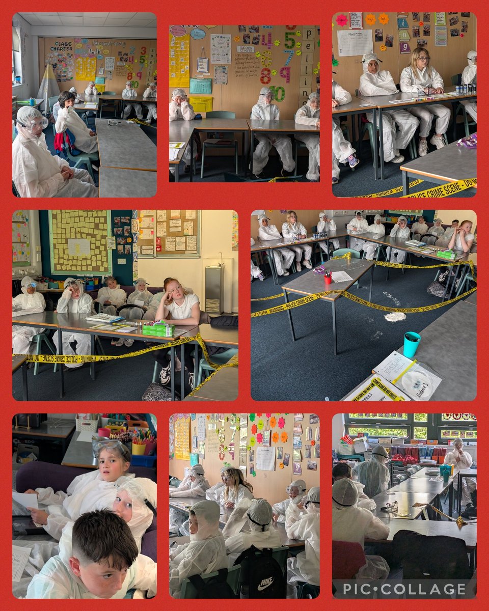Inch View Primary & Nursery School (@inchviewps) on Twitter photo What an absolutely brilliant afternoon with P6s sharing their learning with parents/carers. Some excellent science based experiments were shared linked to our CSI topic as the pupils took the lead for the afternoon. Well Done ⭐ <a href="/PKCTeach/">PKC Learning and Teaching</a> #youngstemleaders #ReadyForTomorrow What an absolutely brilliant afternoon with P6s sharing their learning with parents/carers. Some excellent science based experiments were shared linked to our CSI topic as the pupils took the lead for the afternoon. Well Done ⭐ <a href="/PKCTeach/">PKC Learning and Teaching</a> #youngstemleaders #ReadyForTomorrow