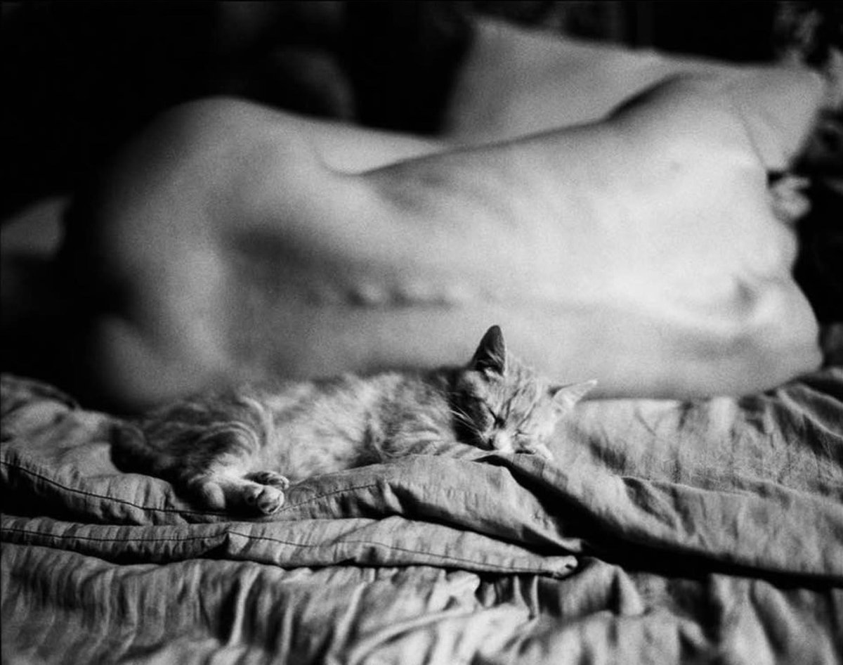 Paolo Streito tweet media